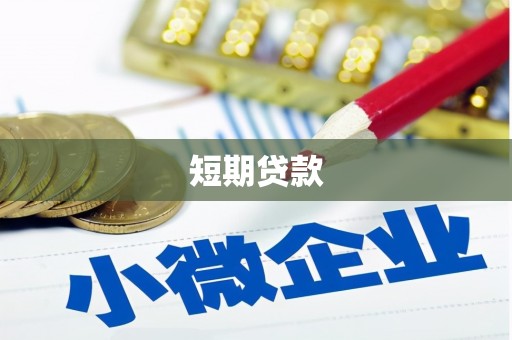 新林短期贷款