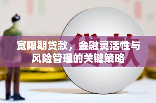 关岭宽限期贷款，金融灵活性与风险管理的关键策略