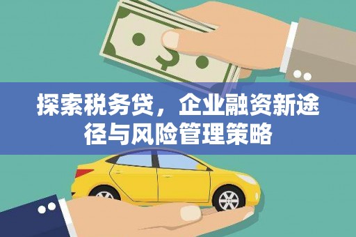 特克斯探索税务贷，企业融资新途径与风险管理策略