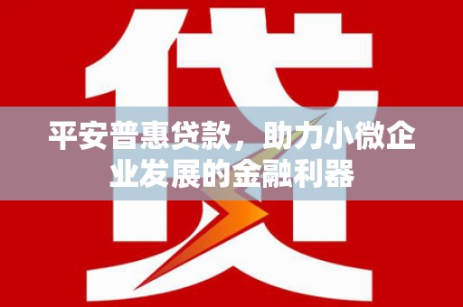 宝塔平安普惠贷款，助力小微企业发展的金融利器
