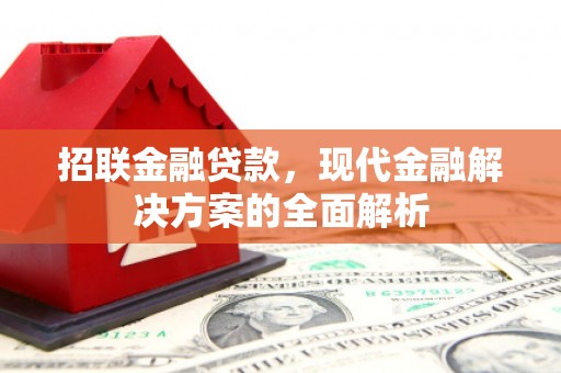 连平招联金融贷款，现代金融解决方案的全面解析