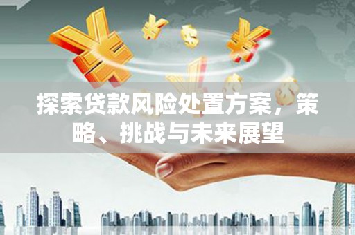 丽水探索贷款风险处置方案，策略、挑战与未来展望