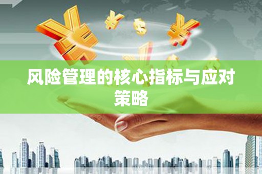 汉源风险管理的核心指标与应对策略