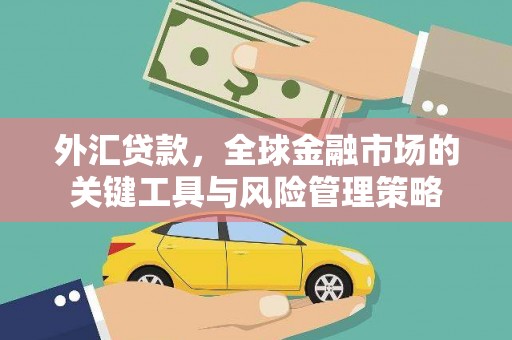 浉河外汇贷款，全球金融市场的关键工具与风险管理策略