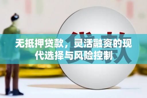 吉林无抵押贷款，灵活融资的现代选择与风险控制