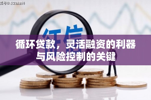 苍溪循环贷款，灵活融资的利器与风险控制的关键