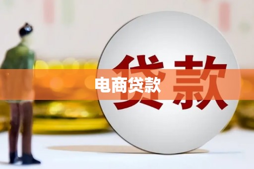 东凤电商贷款