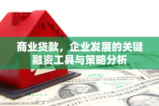 陵城商业贷款，企业发展的关键融资工具与策略分析