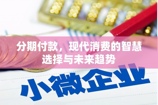召陵分期付款，现代消费的智慧选择与未来趋势