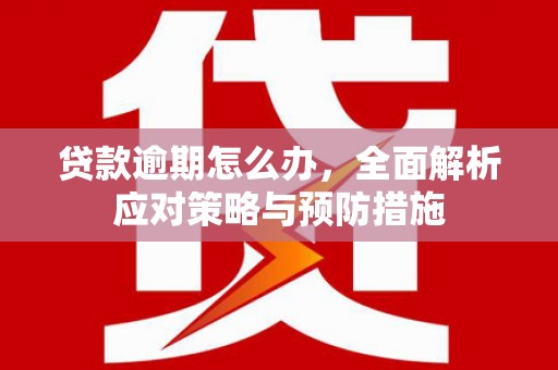 大朗贷款逾期怎么办，全面解析应对策略与预防措施