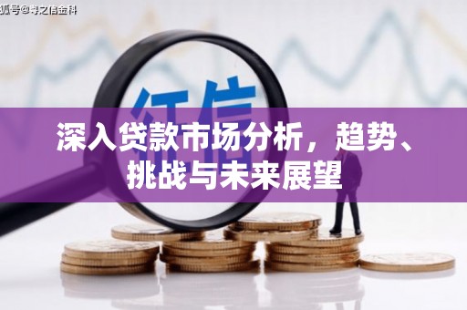 茄萣深入贷款市场分析，趋势、挑战与未来展望