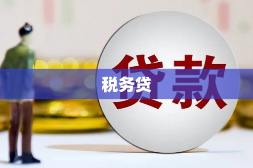 磁县税务贷