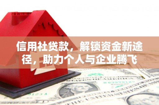 仑背信用社贷款，解锁资金新途径，助力个人与企业腾飞