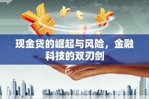 凉城现金贷的崛起与风险，金融科技的双刃剑