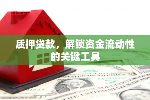 和政质押贷款，解锁资金流动性的关键工具