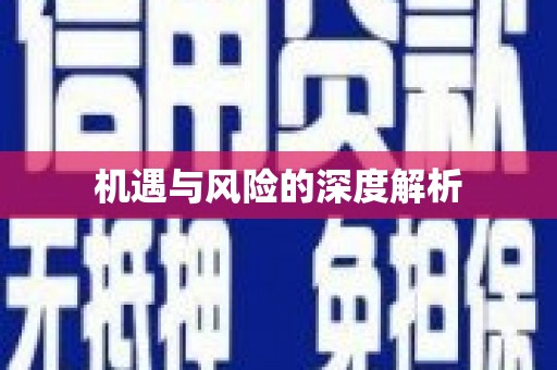 公安机遇与风险的深度解析