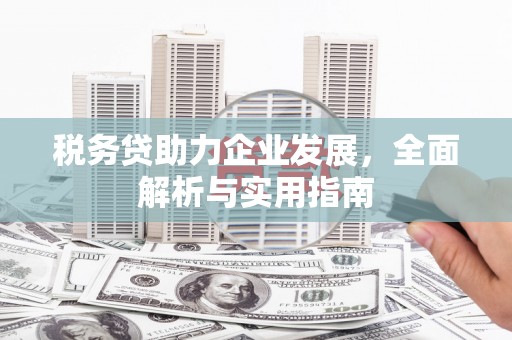 兴山税务贷助力企业发展，全面解析与实用指南