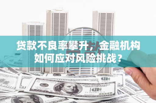 线西贷款不良率攀升，金融机构如何应对风险挑战？