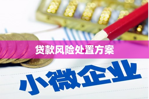 富平贷款风险处置方案