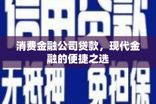 东西湖消费金融公司贷款，现代金融的便捷之选