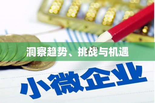 龙陵洞察趋势、挑战与机遇