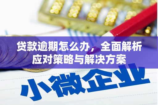 深泽贷款逾期怎么办，全面解析应对策略与解决方案