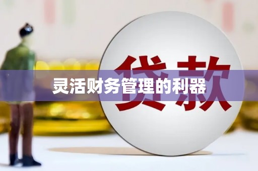大甲灵活财务管理的利器