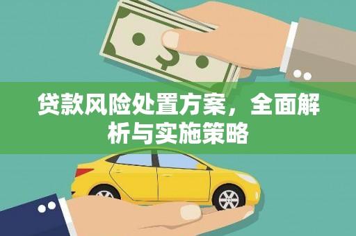 罗定贷款风险处置方案，全面解析与实施策略
