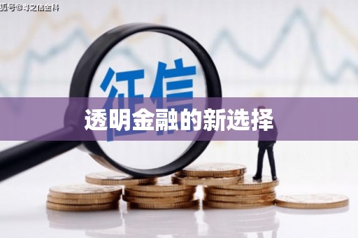 汤阴透明金融的新选择