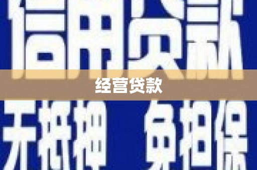 龙文经营贷款
