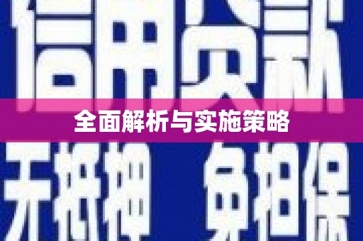寿丰全面解析与实施策略
