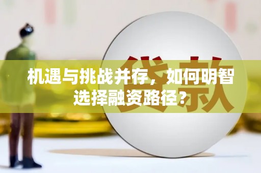 海东机遇与挑战并存，如何明智选择融资路径？