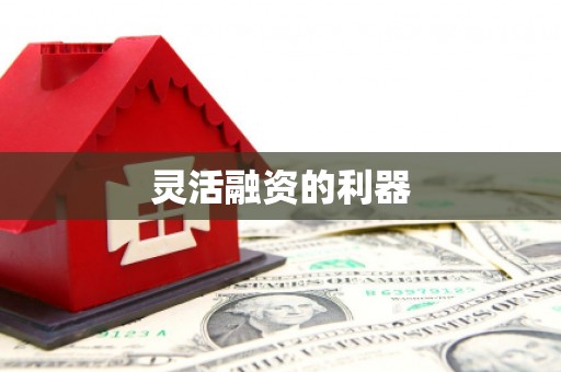 碌曲灵活融资的利器