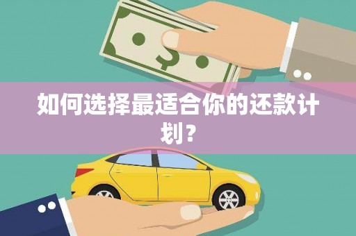 双桥如何选择最适合你的还款计划？