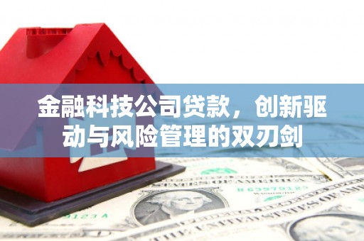 西螺金融科技公司贷款，创新驱动与风险管理的双刃剑